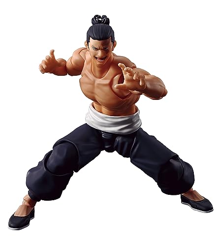 S.H.Figuarts AOI TODO