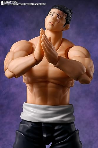 S.H.Figuarts AOI TODO 6 S.H.Figuarts AOI TODO